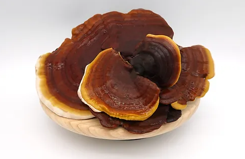 Discover the Benefits of Reishi Mushrooms