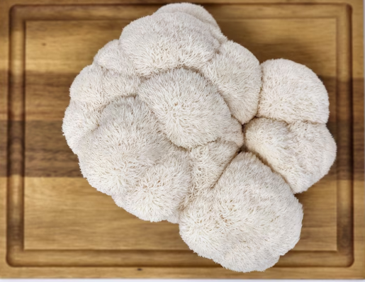 Enjoy the Versatility and Health Benefits of Dried Lion's Mane Mushrooms