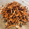 Discover the Unique and Health-Promoting Cordyceps Mushrooms